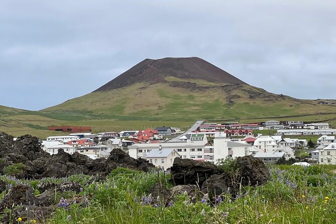PRIVATE 2-Hours Tour - Westman Islands with a local in a BMW X5 - What the $607.15 group price really buys