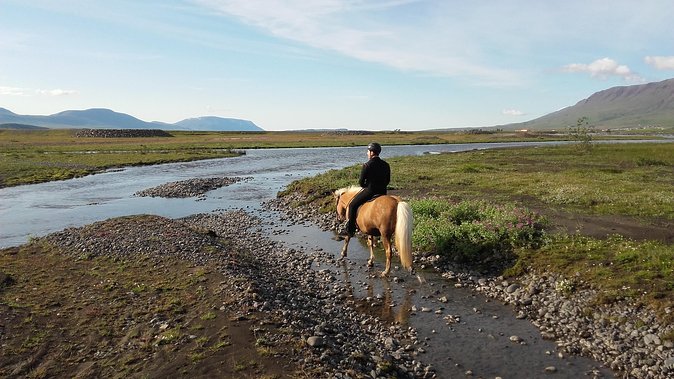 Private 3-Hour Horseback Riding Tour - Key points to know before booking