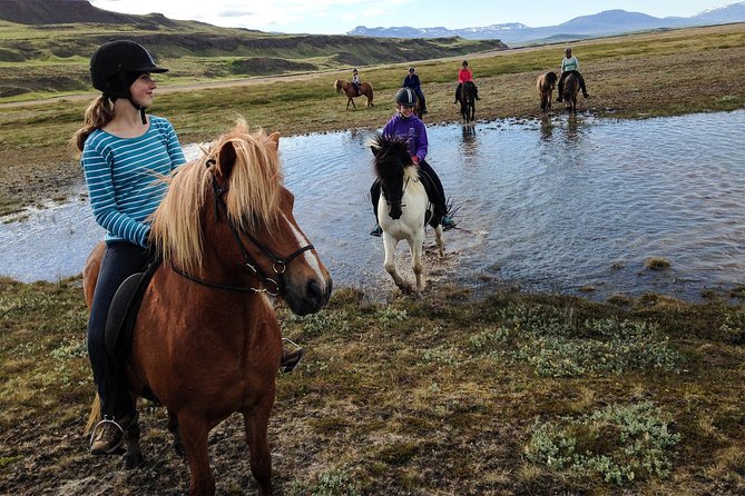 Private 3-Hour Horseback Riding Tour - What this three-hour Icelandic ride is really like