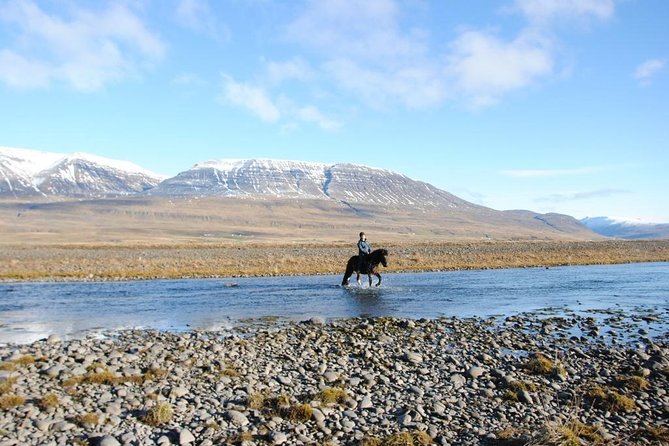 Private 3-Hour Horseback Riding Tour - Riding through rivers, fields, and the delta