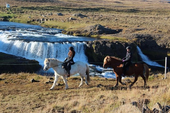 Private 3-Hour Horseback Riding Tour - The waterfall and hot spring option