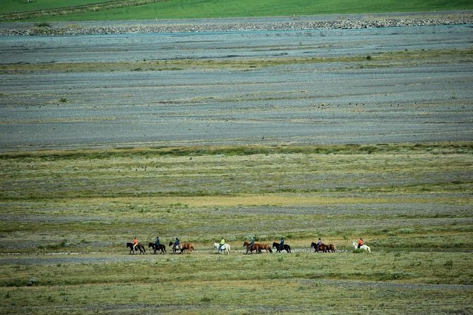 Private 3-Hour Horseback Riding Tour - Choosing the right pace for your group