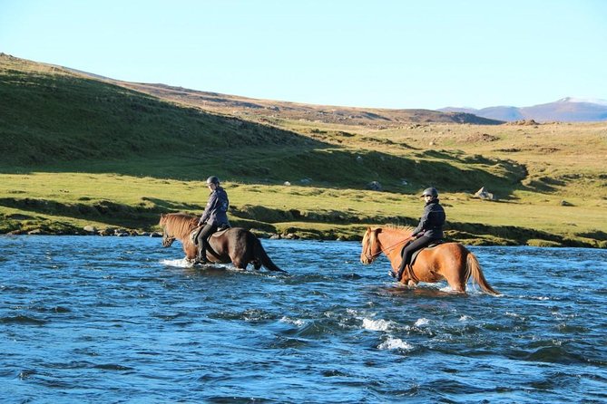 Private 3-Hour Horseback Riding Tour - The guides and the horses