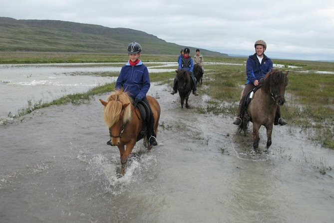 Private 3-Hour Horseback Riding Tour - Gear, weather, and physical demands