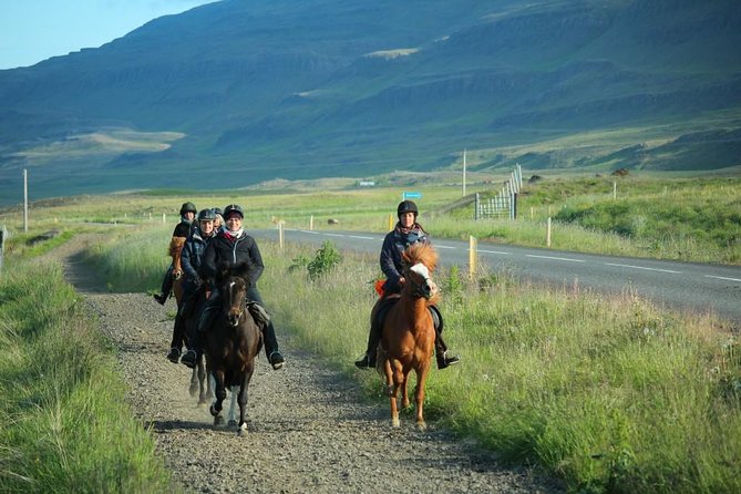 Private 3-Hour Horseback Riding Tour - Is $230.45 a fair price?