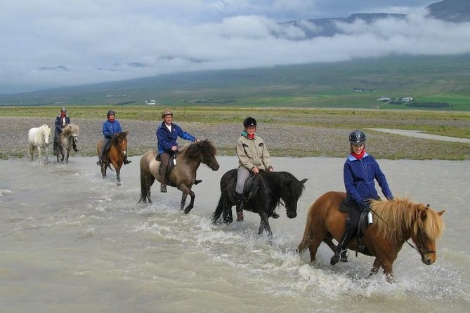 Private 3-Hour Horseback Riding Tour - Hestasport Reception in Varmahlíð