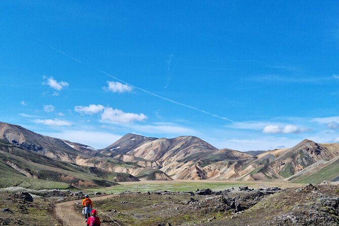 Private Day Trip in Landmannalaugar South Region area on a 4x4 truck - Starting Near Hvolsvöllur at 9:00 a.m.