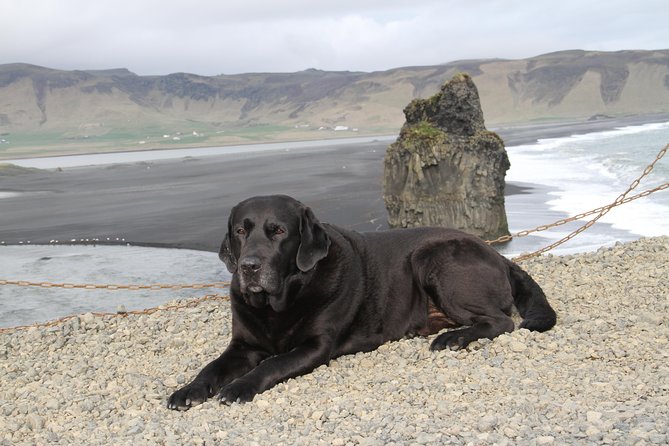 Private Day Trip to the Icelandic South Coast from Reykjavik - Leaving Reykjavik for the South Coast