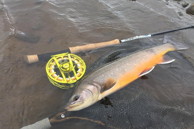 Private Fishing Tour from Reykjavik - Arctic Char and Brown Trout - Who will enjoy this day most