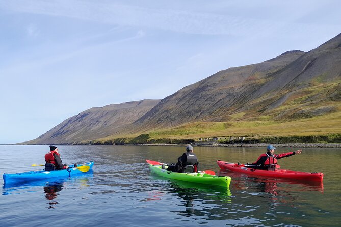 Private: Guided kayak tour in Siglufjörður / Siglufjordur. - Why Kayak in Siglufjörður?