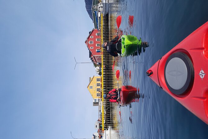 Private: Guided kayak tour in Siglufjörður / Siglufjordur. - Weather, Comfort, and the Real Iceland Factor