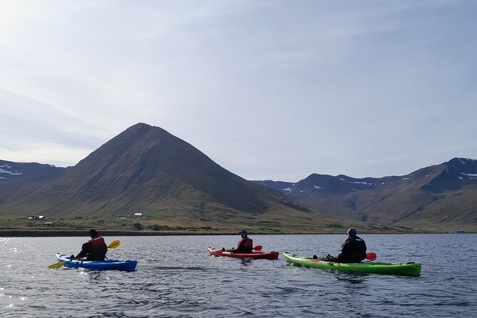 Private: Guided kayak tour in Siglufjörður / Siglufjordur. - Who Gets the Most From This Experience?