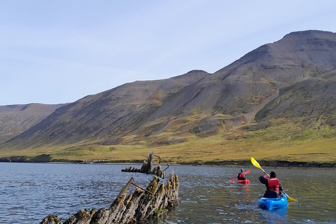 Private: Guided kayak tour in Siglufjörður / Siglufjordur. - Learning the Kayak Before Leaving the Harbor