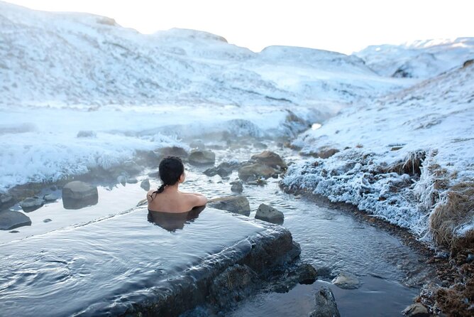 Private Half Day Iceland Tour with Guide and Vehicle - What the vehicle and guide add to the day