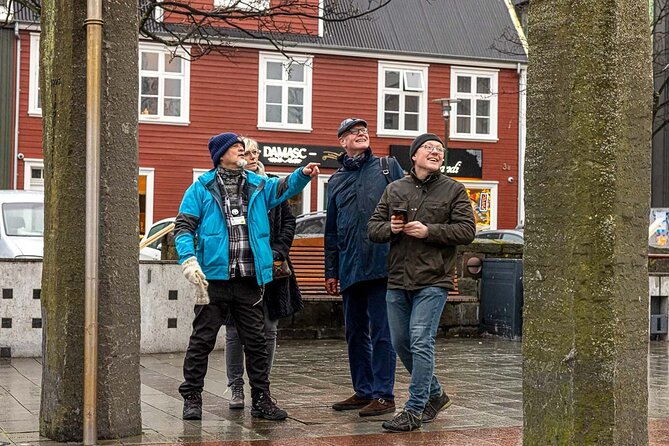 Private Icelandic Viking Age Walking Tour - The Settlement Exhibition: 45 minutes underground