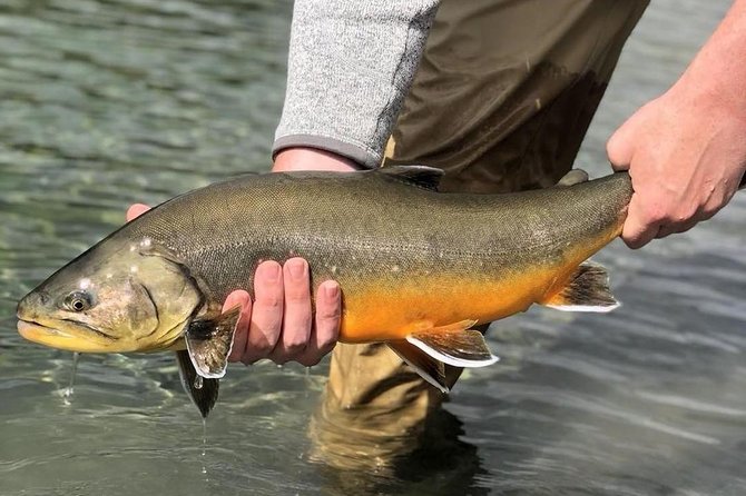 Private Lake and River Fishing Tour from Reykjavik - A fishing day built around the Golden Circle