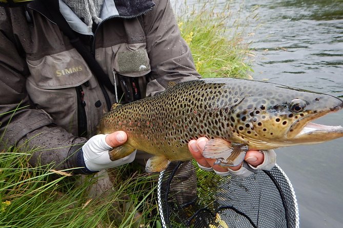 Private Lake and River Fishing Tour from Reykjavik - Gear and permits remove two common hassles