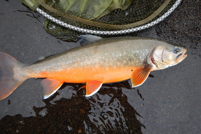 Private Lake and River Fishing Tour from Reykjavik - Dress for weather, not the forecast alone