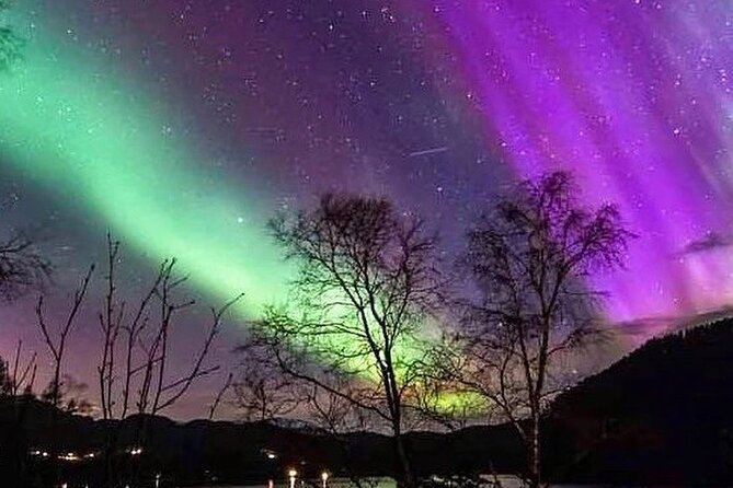 Private Northern Lights Tour From Reykjavik - Pickup at 9:00 pm from Reykjavik