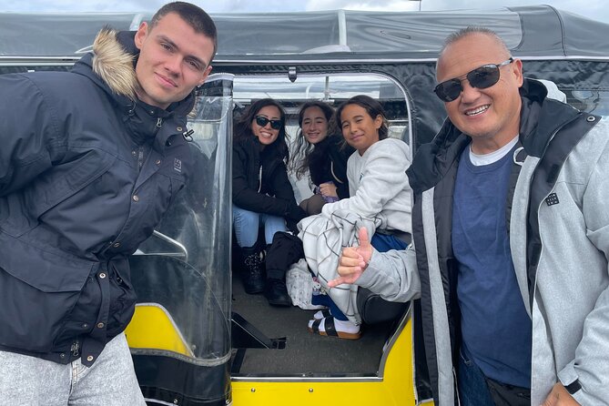 Private Reykjavík Tuk Tuk – City Highlights Tour - The Perlan alternative