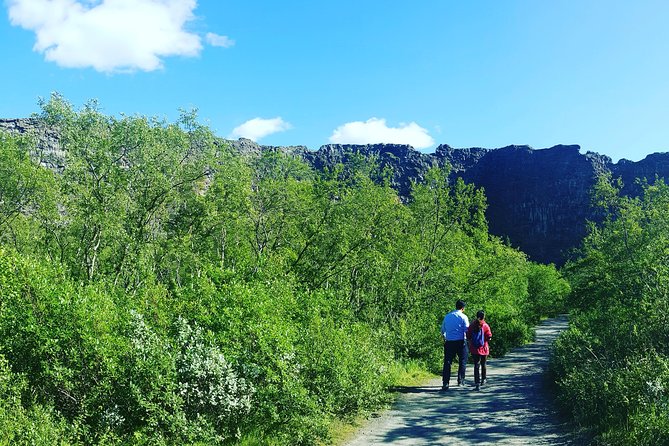 Private Tour in Northern Iceland from Akureyri - What the guide adds beyond the sights