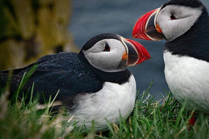 Private Tour: South Coast of Iceland by SUV or Van from Reykjavik - Vik offers a short look at a South Coast village