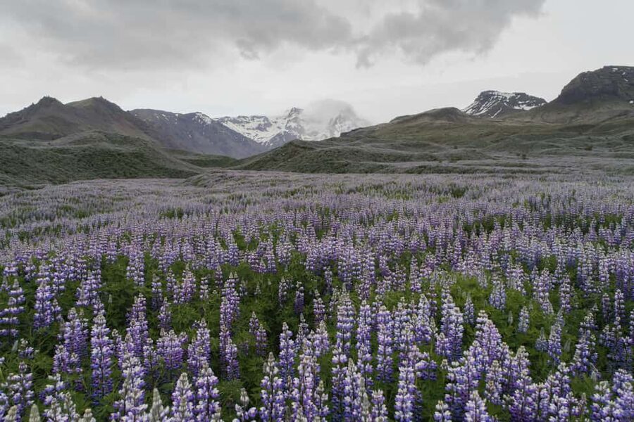 Private Tour to Landmannalaugar. Explore the Highlands - Why Landmannalaugar earns a full day