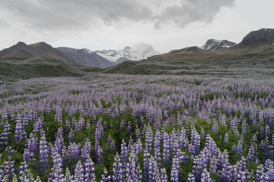 Private Tour to Landmannalaugar. Explore the Highlands - Who will enjoy this Landmannalaugar tour most