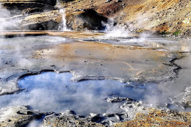Puffin Travel choice - We decide where to go. Do it like locals - Landmannalaugar, the South Coast, or Reykjanes