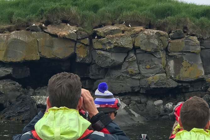 Puffin Watching Speedboat Express - Quiet engines and a closer look at puffins