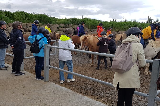 Red Lava Horse Riding Tour From Reykjavik - Meeting the Icelandic horse at Solhestar