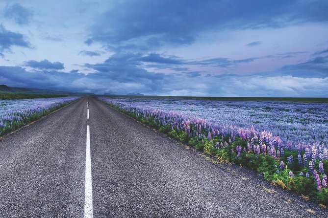 Rent Unlimited High Speed pocket Wifi in Iceland - Who should book this Iceland connection