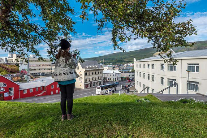 Revel in Reykjavik: Unveiling Iceland’s Charismatic Capital - Alþingishúsið and the story of Icelandic government