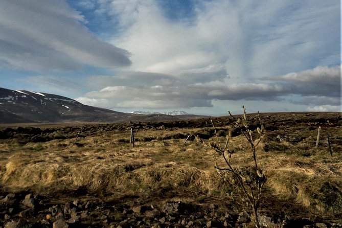 Reykjanes peninsula- Geopark and much more. Private tour - Why Reykjanes deserves a full half-day
