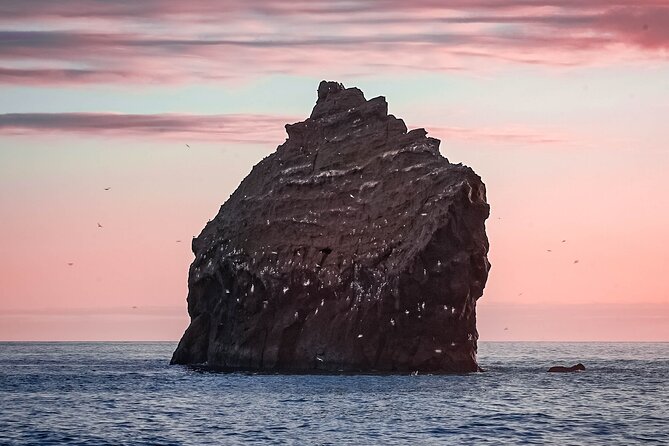 Reykjanes Peninsula Private tour Iceland - Fagradalsfjall brings the newest ground into view