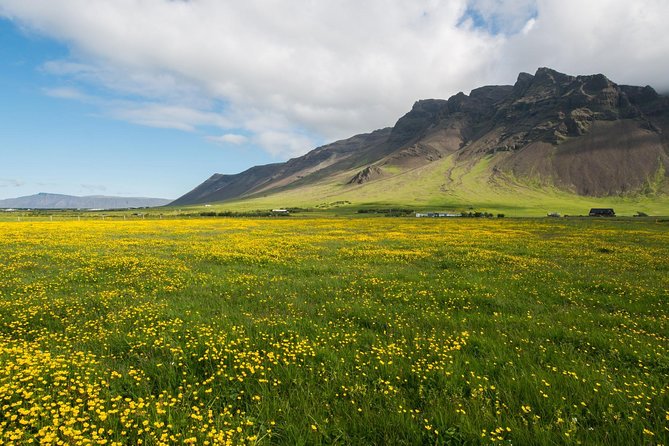Reykjanes peninsula - Blue Lagoon: the popular stop that needs planning