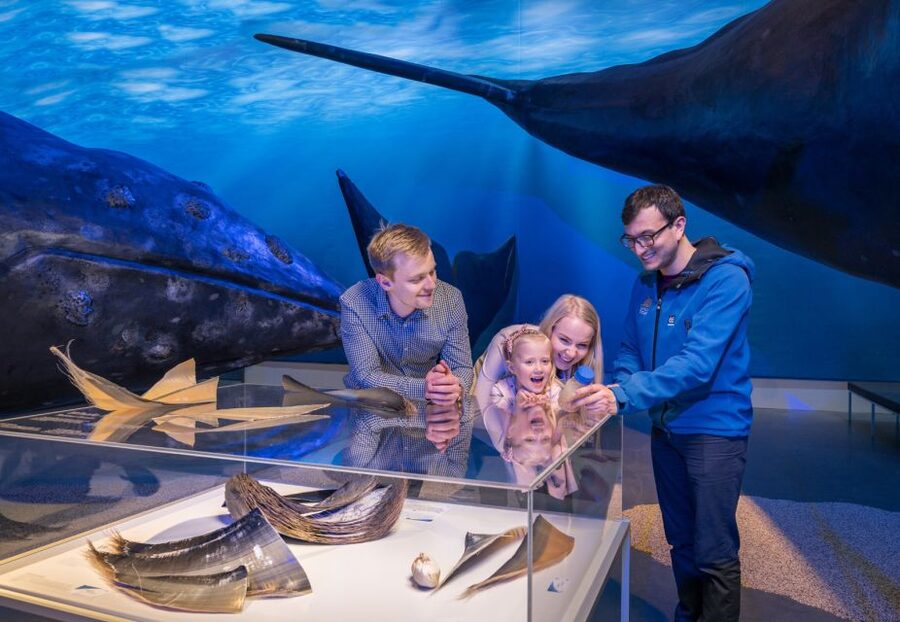 Reykjavik: 2-Hour Northern Lights by Boat with Backup Plan - Warm gear, café, and guide quality