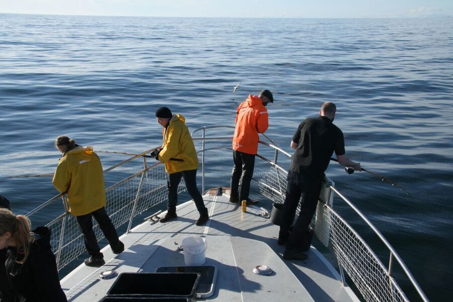Reykjavik: 3-Hour Sea Angling Gourmet Experience Tour - Key points to know before casting off