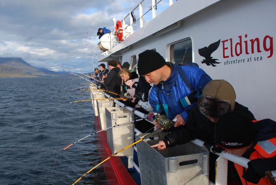Reykjavik: 3-Hour Sea Angling Gourmet Experience Tour - Eating the freshest meal of your Iceland trip