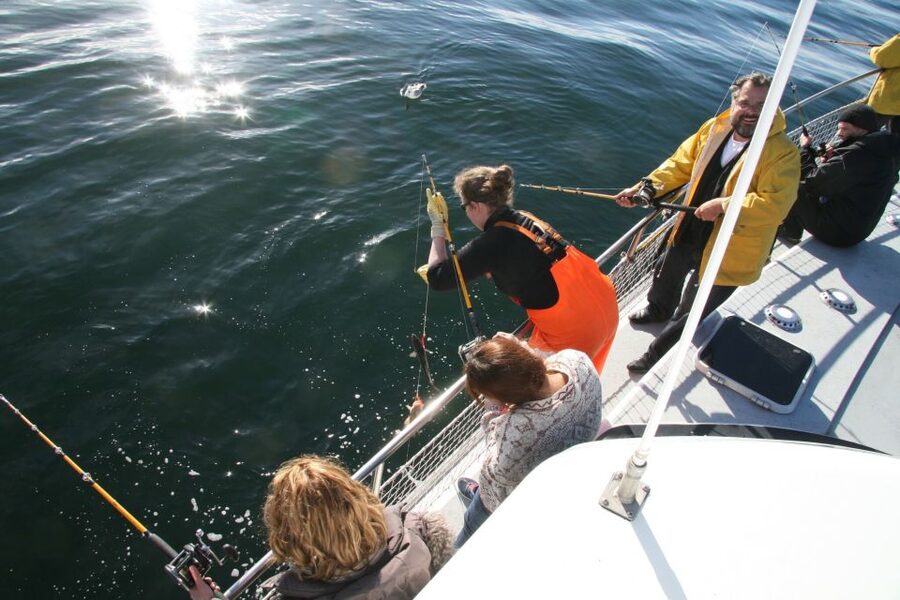 Reykjavik: 3-Hour Sea Angling Gourmet Experience Tour - Is $176 a fair price for three hours?