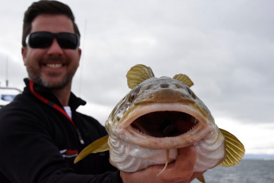 Reykjavik: 3-Hour Sea Angling Gourmet Experience Tour - Should you book it?