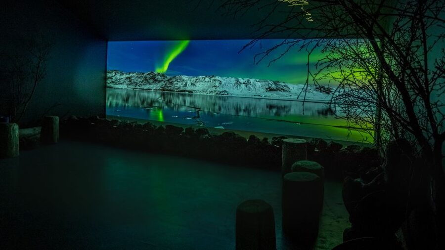 Reykjavik: Aurora Reykjavik The Northern Lights Center Entry - Starting at Fiskislóð 53 in Grandi