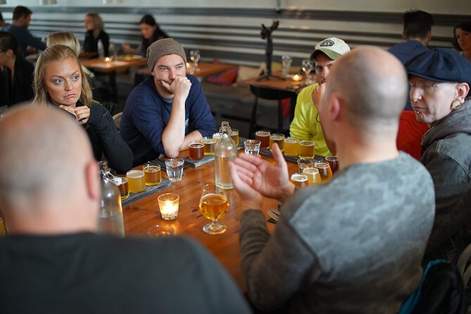 Reykjavik Beer & Booze Tour - Skúli Craft Bar: start with Icelandic context