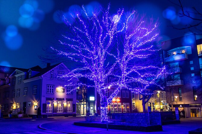 Reykjavik Christmas Walking Tour - Penninn Eymundsson reveals Iceland’s bookish Christmas