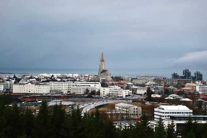 Reykjavik City Private Tour - Harpa’s Glass Facade and Cultural Life