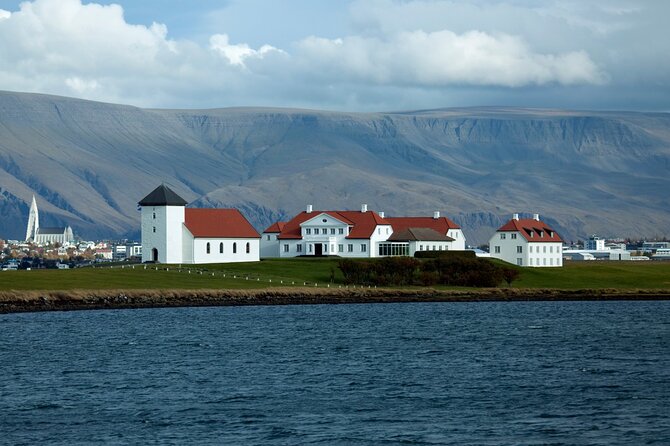 Reykjavik City Private Tour - The Driver-Guide Makes the Difference