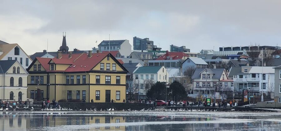 Reykjavik City Private Tour: Perlan, Arbaer & City Landmarks - A private way to get your bearings in Reykjavik