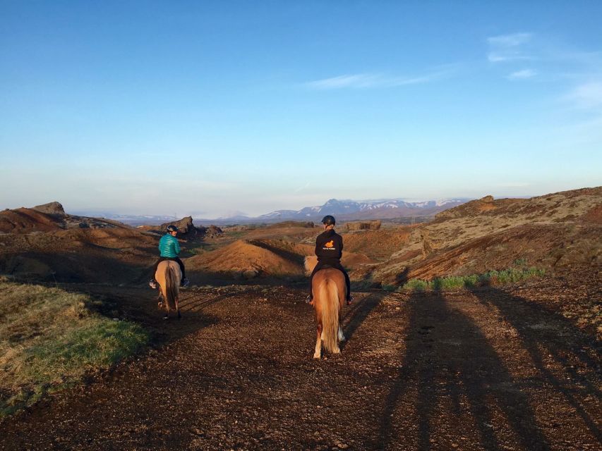 Reykjavik: Evening Sleipnir Horse Riding Tour with Pickup - Why this evening ride feels different