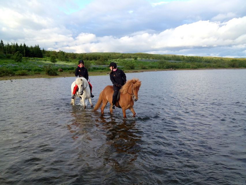 Reykjavik: Evening Sleipnir Horse Riding Tour with Pickup - Finishing with coffee, tea, hot chocolate, and kleina