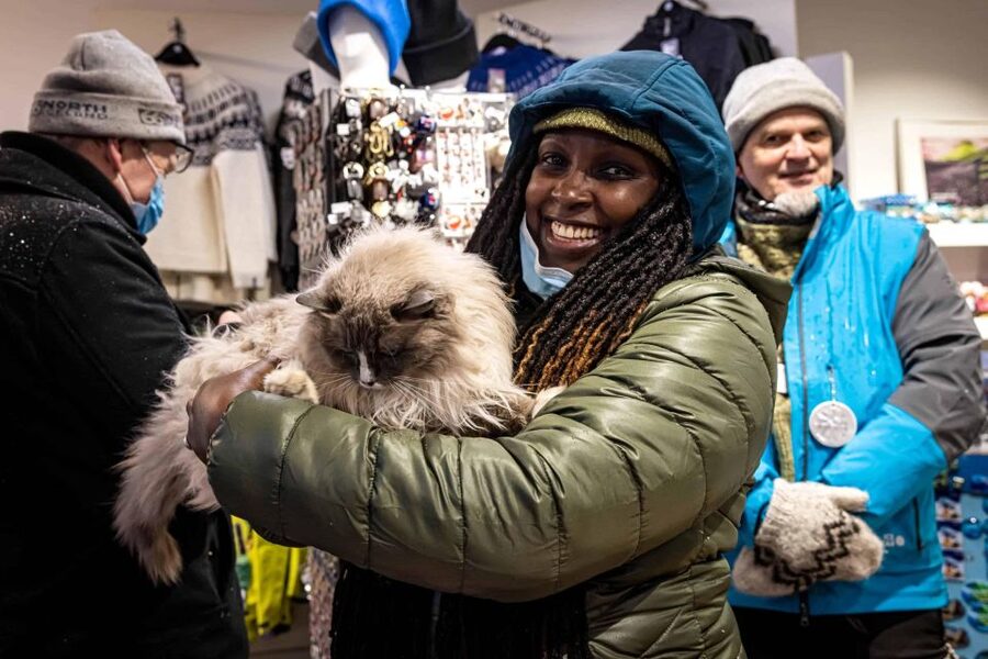 Reykjavik: Feline-Focused City Walking Tour - Key points before you book